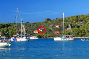 Apartments by the sea Cove Gradina, Korcula - 4466